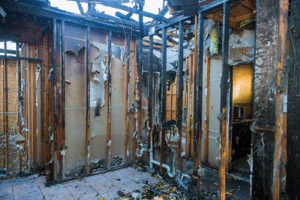 Professional Fire Damage Removal technician working in Brunswick, MD